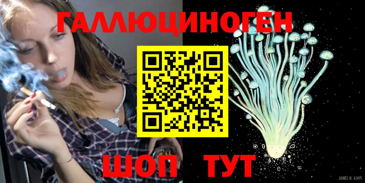 Псилоцибиновые грибы Psilocybe Чита
