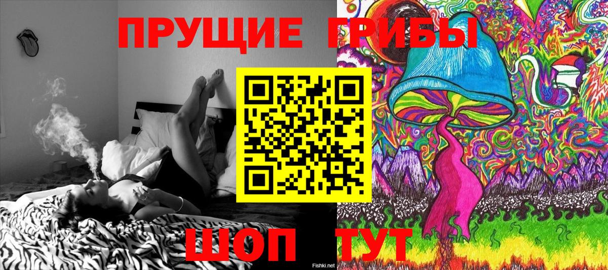 Галлюциногенные грибы GOLDEN TEACHER  Галлюциногенные грибы Psilocybine cubensis  Вход с VPN  Чита 